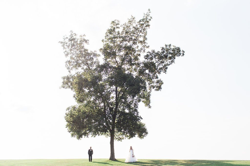 Lauren Renee Photography bride and groom walking under a large tree at the longue vue club