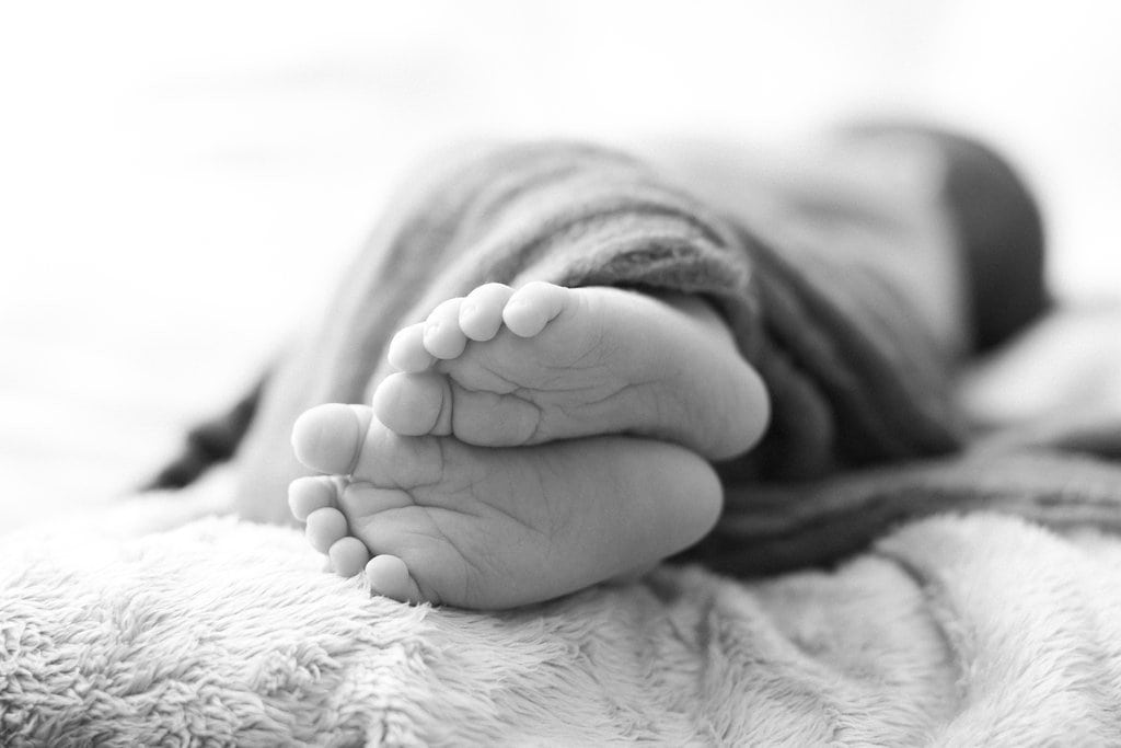 pittsburgh-fine-art-newborn-photography-lauren-renee-designs-2015
