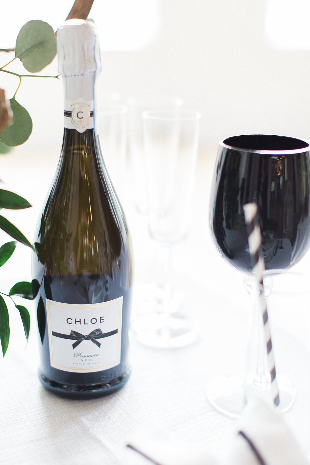 Published on SMP - Lauren Renee Photography Chloe champagne bottle
