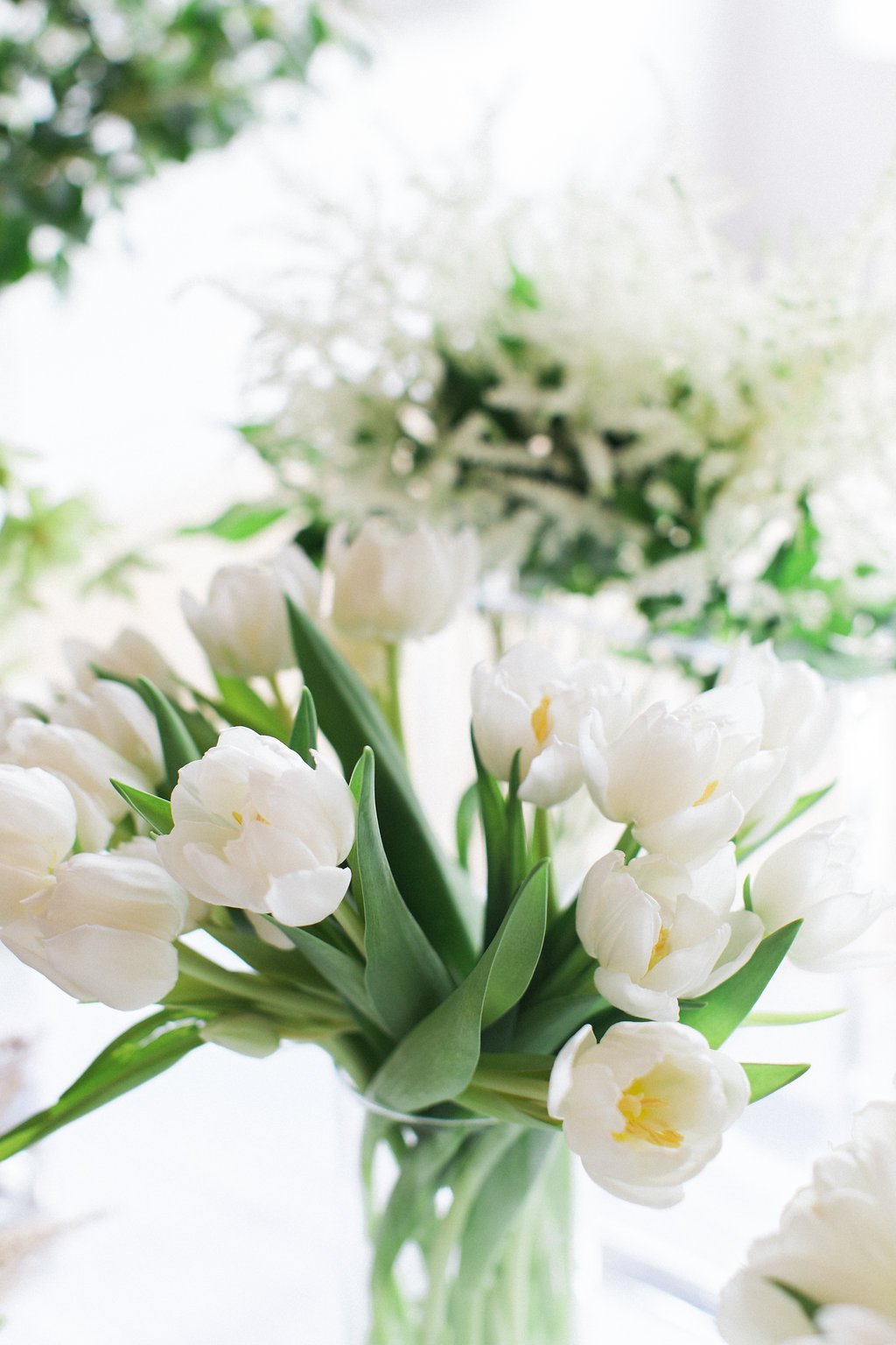 Published on SMP - Lauren Renee Photography white tulips in a clear vase