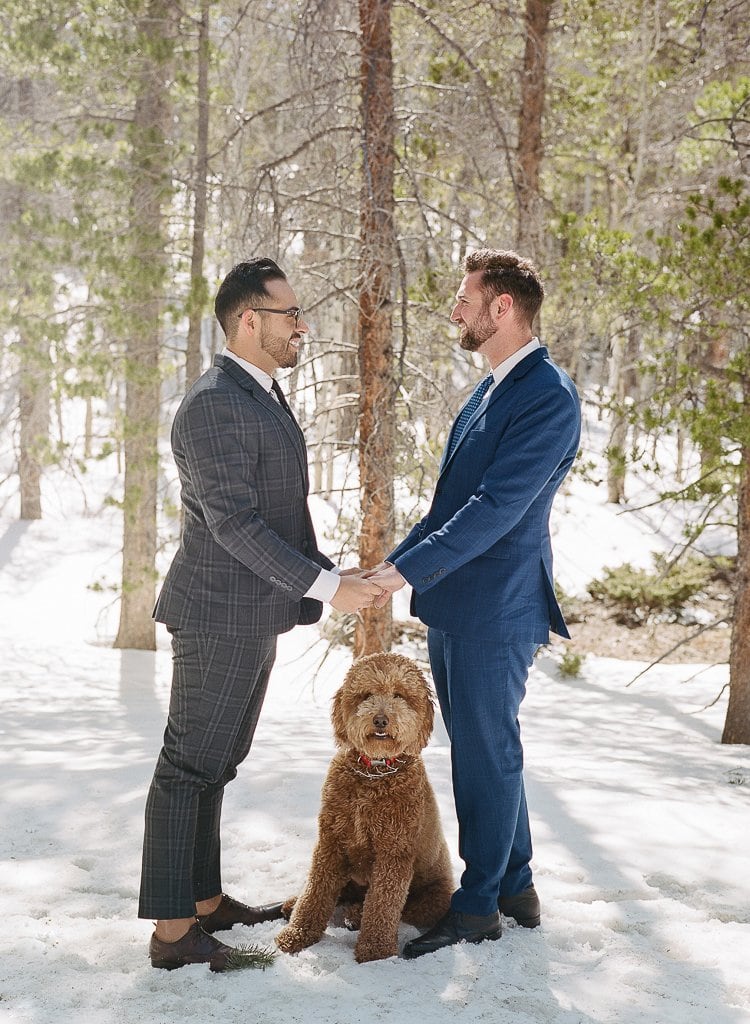 Sam-Sex Engagement Session - Lauren Renee Photography two gay men holding hands in the snow with their dog