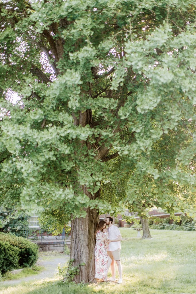 photo of family with newborn baby under a tree in mellon park: outdoor newborn session
