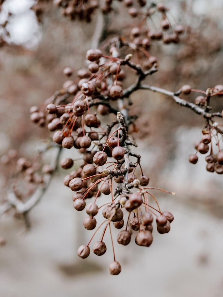 Winter Wedding at The Pennsylvanian